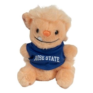 BOISE STATE PALM PET -  mohogre